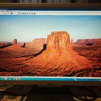 monitor Acer 22"