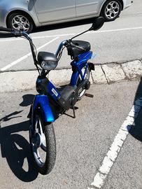 piaggio 