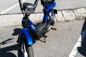 piaggio 