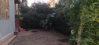 Appartamento zona Barriera CT