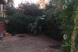 Appartamento zona Barriera CT