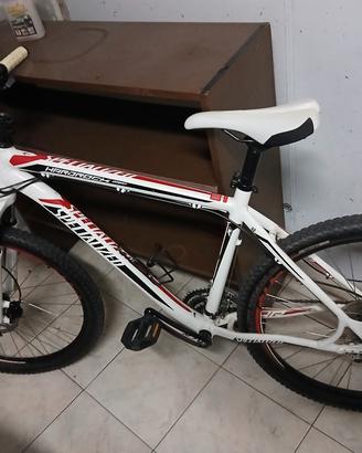 biciclette