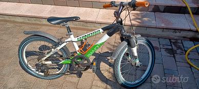 bici bimbo winora bandito 20"in alluminio 