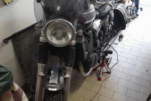 splendida triumph