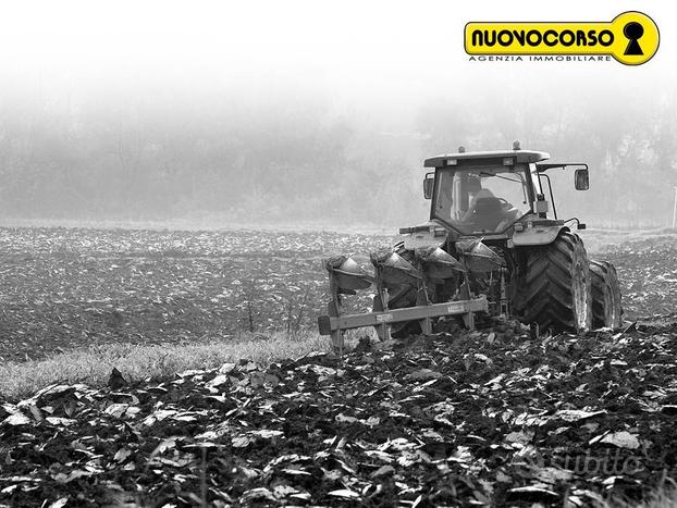 Guarda Veneta (RO) - Terreno agricolo di Ettari 7