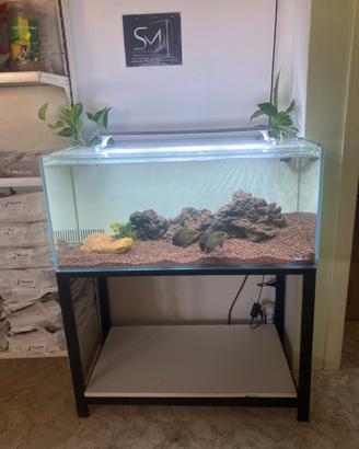 Acquario con supporto