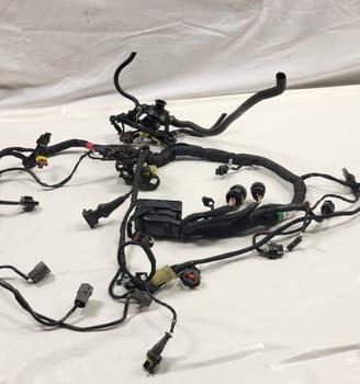 CABLAGGIO ELETTRONICO PRINCIPALE DUCATI MULTISTRAD