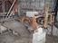 Immagine 5