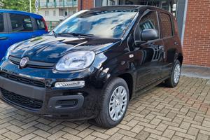 Fiat Panda 1.0 FireFly S&S Hybrid Icon