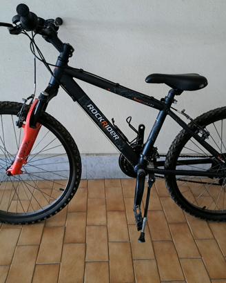 bicicletta