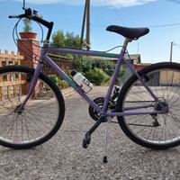 Mountain Bike 26"