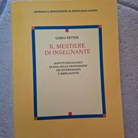 Il mestiere di insegnate