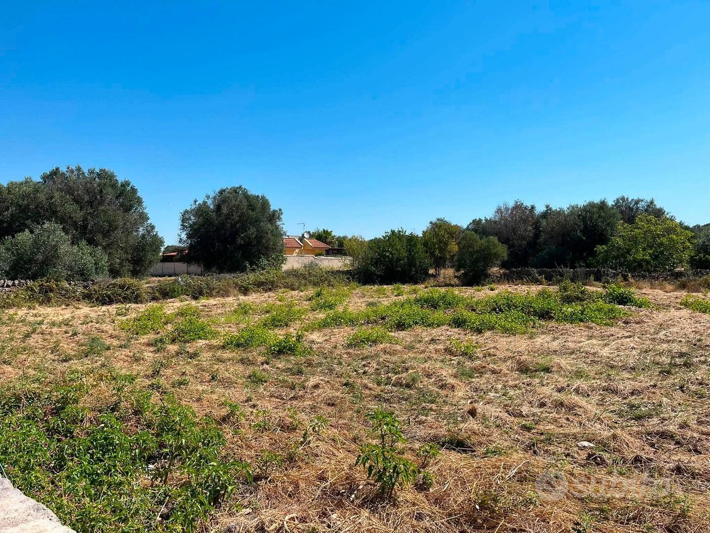 Lotti edificabili - Monteparano - Vista 3
