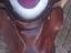 Immagine 5
