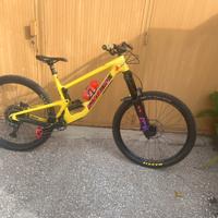 Santa cruz