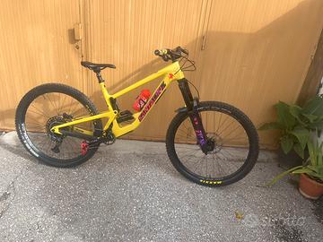 Santa cruz