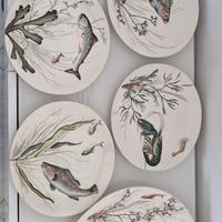 Servizio inglese Johnson Bros in ceramica 