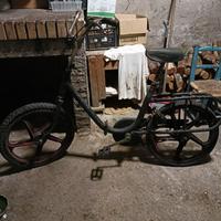 Bici Carnielli