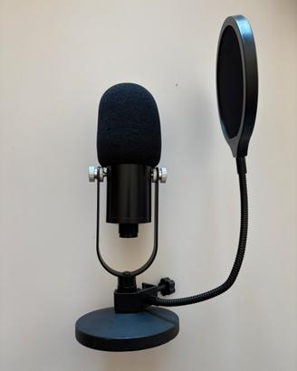 Microfono  cardiode per pc