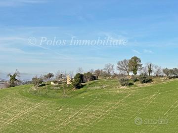 Casa colonica - Monte Giberto