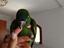 Immagine 1