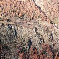 Fabbricati da ricostruire con terreno