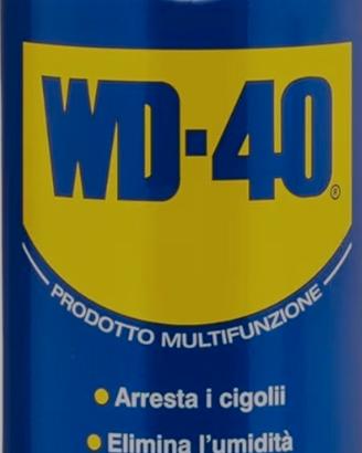 WD40 100ML PACK 12 PEZZI