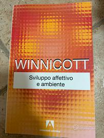 Winnicott sviluppo affettivo e ambiente