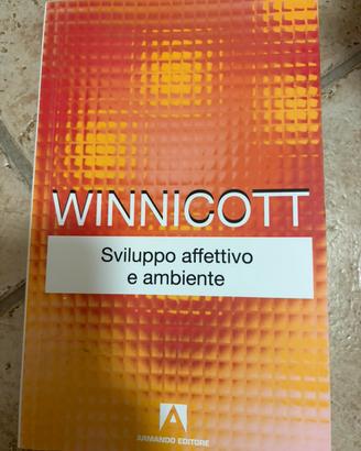 Winnicott sviluppo affettivo e ambiente