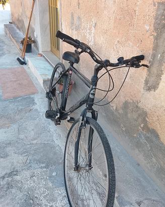 Atala Discovery 28"