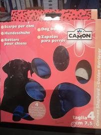 scarpe per cani 