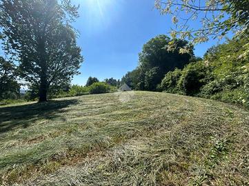 TERRENO A MONTEVECCHIA
