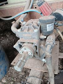 Soffione per nocciole