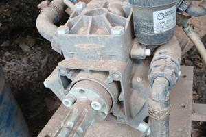 Soffione per nocciole