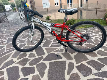 bicicletta