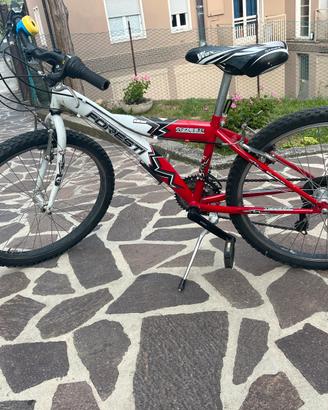 bicicletta