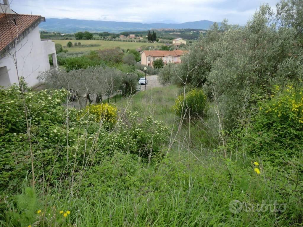 Immobile in asta di 1005 m² a Montegabbione - Vista 3
