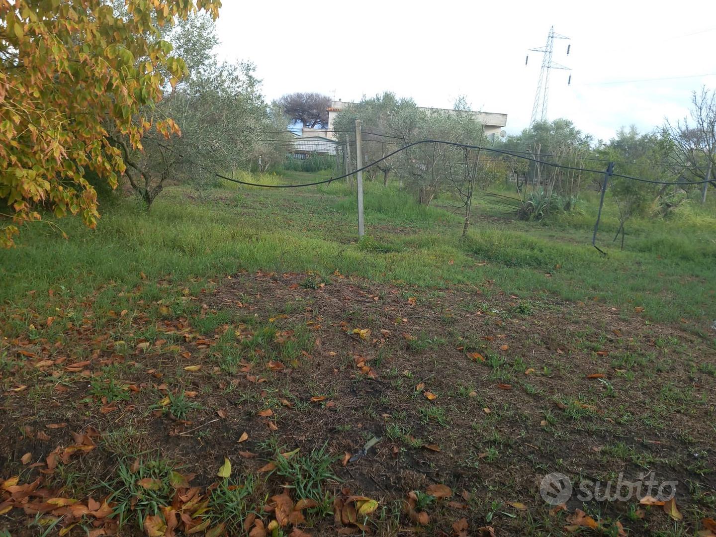 Terreno ad uso agricolo o edificabile - Vista 5