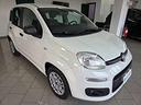 fiat-panda-1-3-mjt-80-cv-s-s-easy