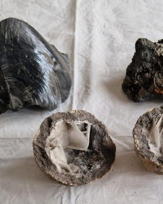 Raccolta di minerali – lotto di 4 pezzi grandi