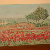 QUADRO RENICA – PAPAVERI