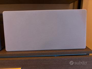 Altoparlante professionale