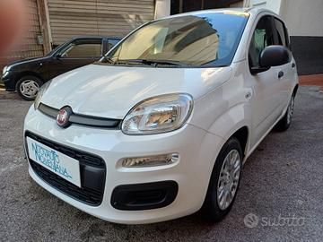 FIAT Panda Pandina 1.0 FireFly S&S Hybrid Pop Ve