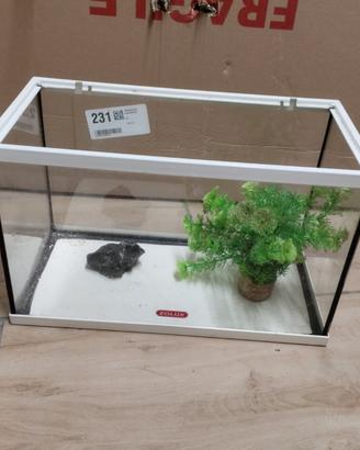 Acquario aperto 20 litri