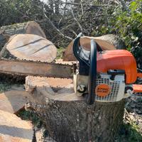 Motosega Stihl