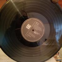 Beatles da collezione 