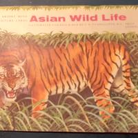 ALBUM DI FIGURINE - BROOKE BOND - ASIAN WILD LIFE