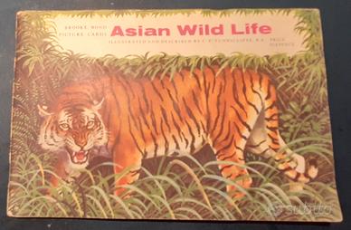 ALBUM DI FIGURINE - BROOKE BOND - ASIAN WILD LIFE