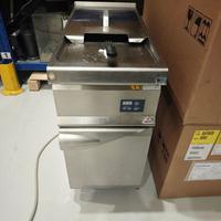 Friggitrice elettrica professionale 18 litri