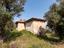 Immagine 19